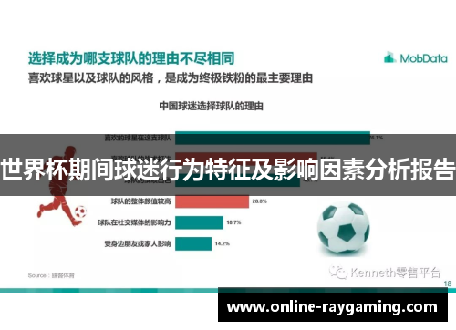 世界杯期间球迷行为特征及影响因素分析报告