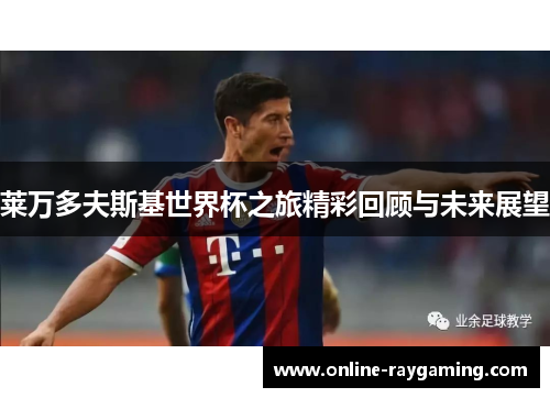 莱万多夫斯基世界杯之旅精彩回顾与未来展望