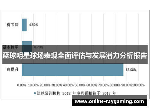 篮球明星球场表现全面评估与发展潜力分析报告