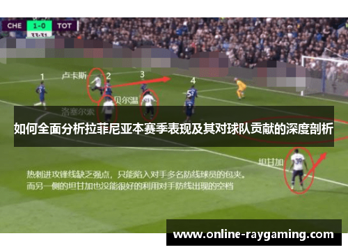 如何全面分析拉菲尼亚本赛季表现及其对球队贡献的深度剖析