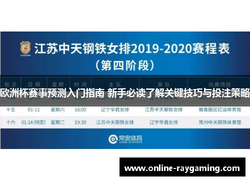 欧洲杯赛事预测入门指南 新手必读了解关键技巧与投注策略